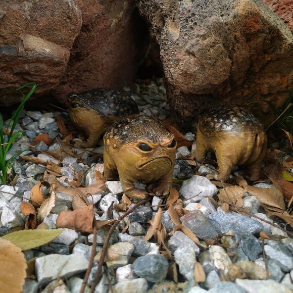 Grumpy Frog Toad Statue Ugly Angry Outdoor Garden Yard Fun Home Office Decor - Picture 4 of 8
